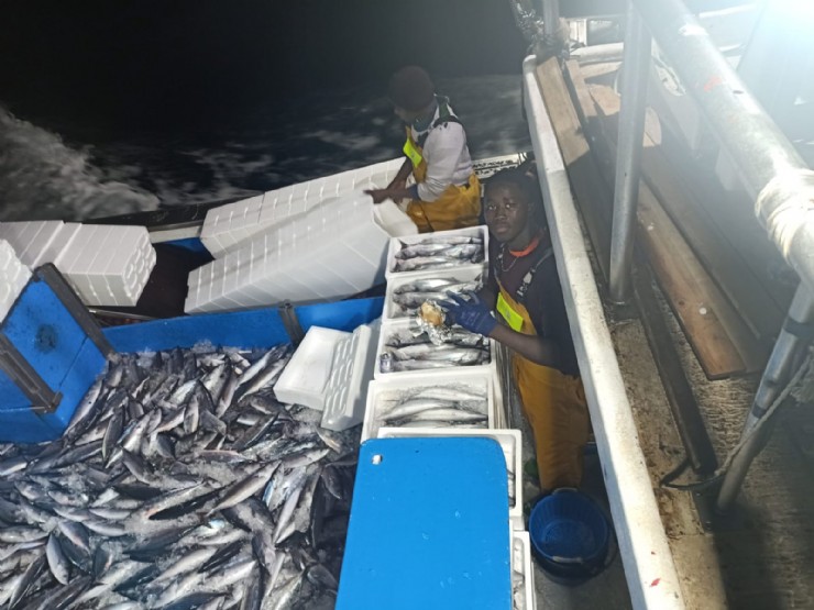 Gran jornada de pesca de bonito para el barco pesquero ‘Ginés y Ana'