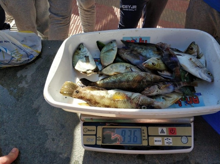 El primer social del Club de Pesca Puerto de Mazarrón se celebró en aguas de Cañada de Gallego