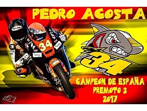 Pedro Acosta se proclama campeón de España en PreMoto3