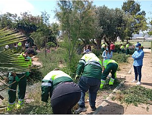 El Ayuntamiento recupera el jardín etnobotánico ‘Mastia’