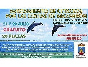 La Concejalía de Juventud programa 2 salidas en barco para avistar cetáceos por la bahía de Mazarrón