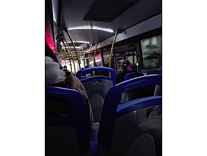 Mazarrón Si-izquierda Unida verdes denuncia el lamentable servicio de la línea de autobuses Cartagena-Mazarrón