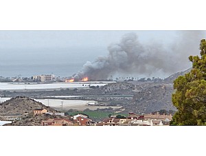 Estabilizado el incendio de matorral a la entrada de Playa Grande 