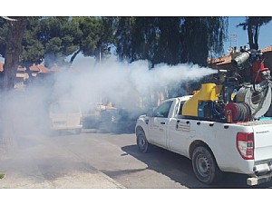 Fumigación contra los mosquitos desde Bolnuevo hasta El Alamillo, pasando por Playagrande, Bahía y Puerto
