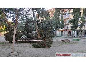 Mazarrón uno de los municipios más afectados por el viento