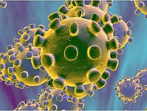 6 casos de coronavirus en Mazarrón