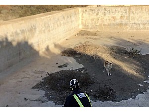 Rescatan a un perro que había caído a una balsa en Mazarrón 