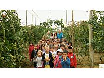 Los alumnos/as de 4 años de infantil del CEIP FRANCISCO CAPARRÓS han visitado un invernadero de tomates en Mazarrón - Foto 1