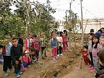 Los alumnos/as de 4 años de infantil del CEIP FRANCISCO CAPARRÓS han visitado un invernadero de tomates en Mazarrón - Foto 6