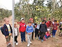 Los alumnos/as de 4 años de infantil del CEIP FRANCISCO CAPARRÓS han visitado un invernadero de tomates en Mazarrón - Foto 7