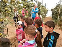 Los alumnos/as de 4 años de infantil del CEIP FRANCISCO CAPARRÓS han visitado un invernadero de tomates en Mazarrón - Foto 10