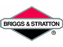 Briggs & Stratton