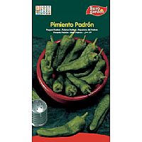 Producto: PADRON