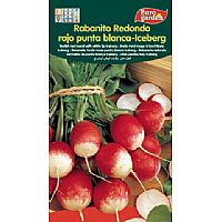 Producto: REDONDO ROJO ICEBERG