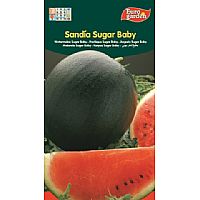 Producto: SUGAR BABY