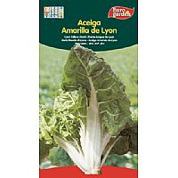 Producto: AMARILLA DE LION