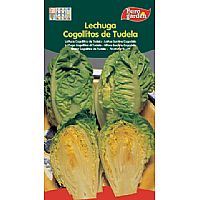 Producto: COGOLLITOS DE TULEDA