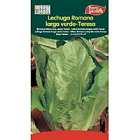 Producto: ROMANA LARGA VERDE