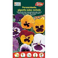 Producto: GIGANTE SUIZO VARIADO