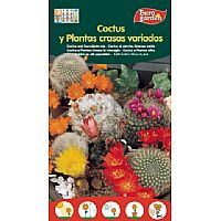 Producto: CRASAS VARIADAS