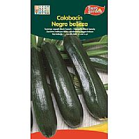 Producto: NEGRO BELLEZA