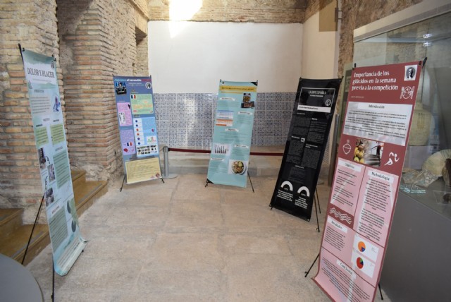 Exposición de los Proyectos de Investigación IES Miguel Hernández