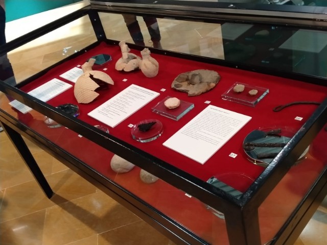 Exposición Exposición