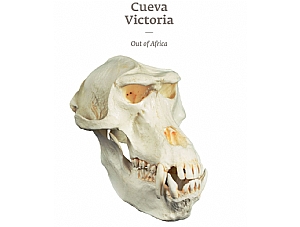 CUEVA VICTORIA | OUT OF ÁFRICA - Exposición de restos fósiles