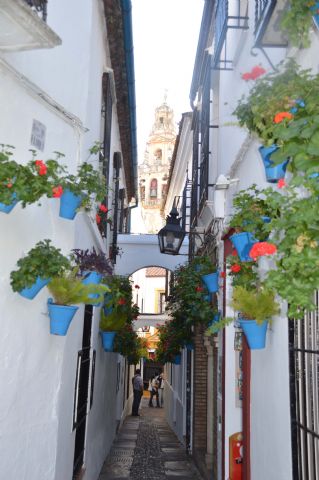 Viaje cultural a Córdoba 2015 - 8