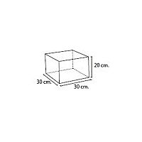 FIGURA CUADRO Nº33   - Foto 1