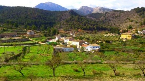 Barandas y papeleras en el Berro