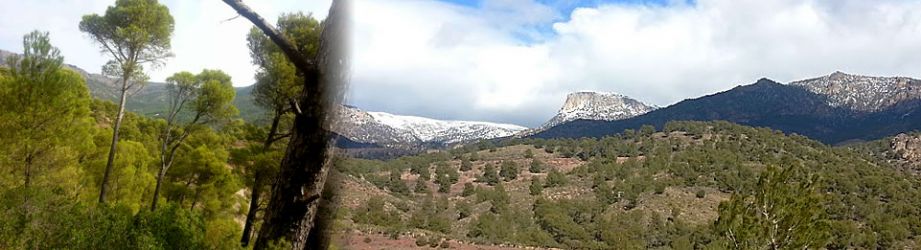 Sierra Espuña Viva