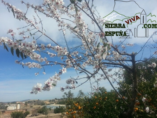 Nueva senda de bici de montaña Totana Casa Forestal Morti Los Pistacheros (Sierra Espuña)