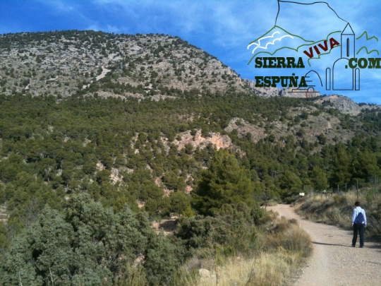 Nueva senda EL PURGATORIO-LA CARRASCA (SIERRA ESPUÑA)