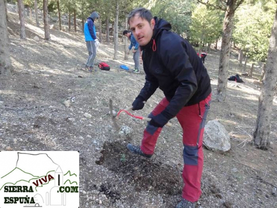 CIRCULAR AL MORRÓN DE ESPUÑA, CELEBRANDO EL DÍA DEL ÁRBOL.(Sierra Espuña)