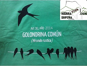 La golondrina común especie en Sierra Espuña