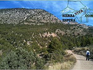 Nueva senda EL PURGATORIO-LA CARRASCA (SIERRA ESPUÑA)