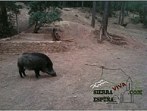 Nueva senda I integral de los bares de Sierra Espuña. Primer día de travesía.