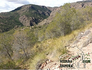 Nueva senda de bici de montaña Totana, camino Abuznel, y camino de campix en Sierra Espuña