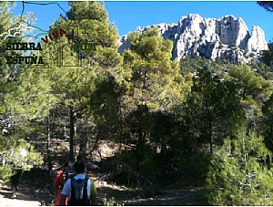 Nueva senda Las Tanganeras-Torreón de los Exploradores (Sierra Espuña)