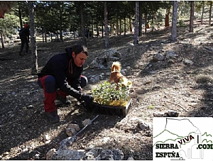 Nueva senda alrededor del Morrón de Espuña en el día del árbol (Sierra Espuña)