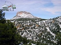 MORRON DE ESPUÑA NEVADO