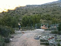 SENDA  PICO DE LOS GUARDIAS POR LA ROSQUILLERA ( SIERRA ESPUÑA) - Foto 7