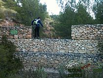 SENDA  PICO DE LOS GUARDIAS POR LA ROSQUILLERA ( SIERRA ESPUÑA) - Foto 8