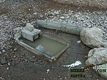 SENDA  PICO DE LOS GUARDIAS POR LA ROSQUILLERA ( SIERRA ESPUÑA) - Foto 12