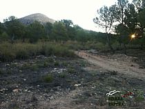 INICIO DE LA RUTA AL FONDO EL CABEZO DE LA ROSQUILLA POR SU CARA ESTE