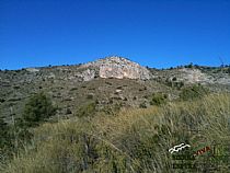 SENDA  PICO DE LOS GUARDIAS POR LA ROSQUILLERA ( SIERRA ESPUÑA) - Foto 4