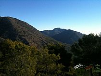 SENDA  PICO DE LOS GUARDIAS POR LA ROSQUILLERA ( SIERRA ESPUÑA) - Foto 5