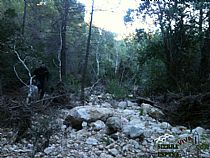 SENDA CAUCE DEL BARRANCO GALLEGO-SENDA DE LAS DOS MIL CURVAS ( SIERRA ESPUÑA) - Foto 2