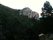 SENDA CAUCE DEL BARRANCO GALLEGO-SENDA DE LAS DOS MIL CURVAS ( SIERRA ESPUÑA) - Foto 9